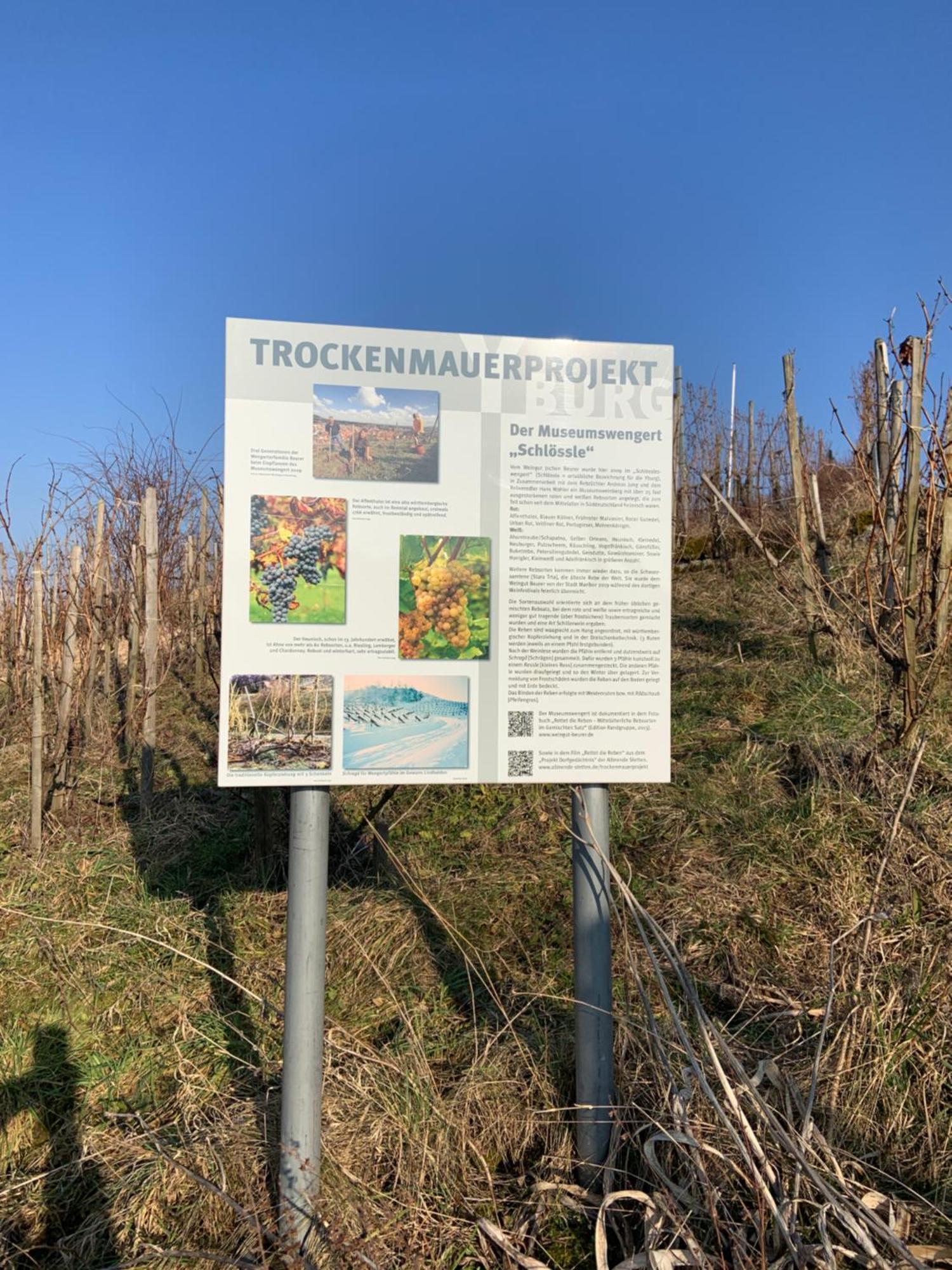Unter Der Yburg Stetten Stetten  Eksteriør bilde